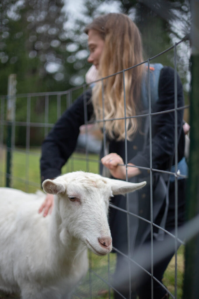 Photo of me outside petting our Saanen goat, Peniche, through the fence with my daughter in the backpack baby carrier.