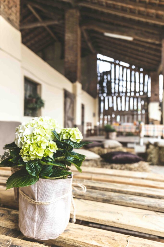 A properly set table for hosting dinner in a farmhouse setting. Fresh flowers on a farmhouse table.